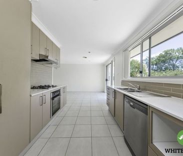 45A Lambrigg Street, Farrer - Photo 6