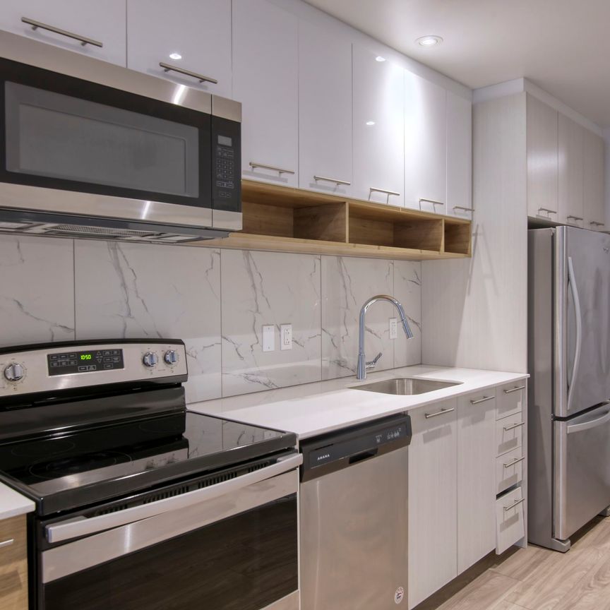 9675 Av. Papineau - Photo 1