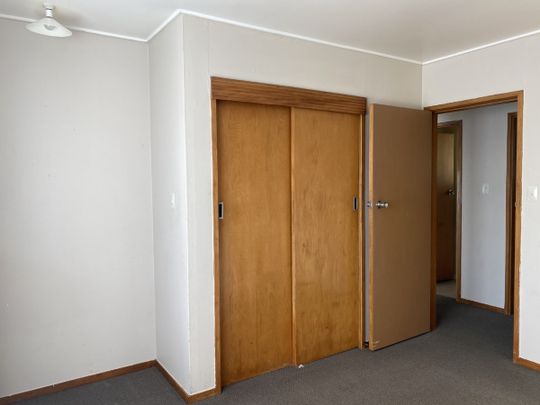 Tidy unit close to Napier CBD - Photo 1