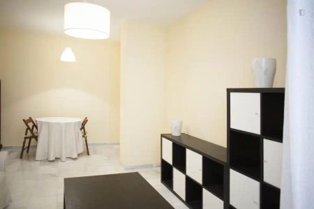 Apartamento de alquiler en Alameda - Mentidero - Teatro Falla - Foto 3