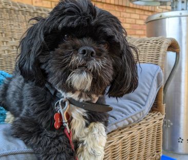 Lysterfield - Photo 5