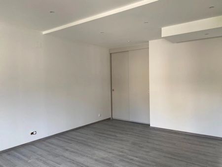 Location Appartement 5 pièces 91m² ALTKIRCH 68130 - Photo 2