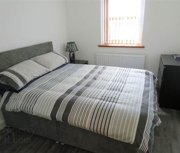 Apt 6, 161 Glen Road, Belfast, BT11 8SB - Photo 5