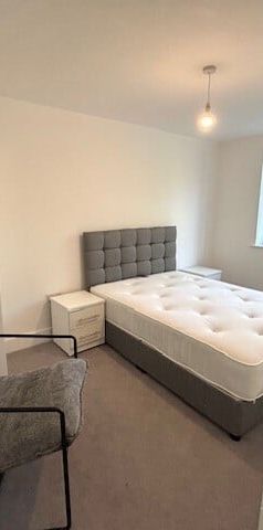 Butterfly Close - Photo 1