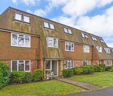 1 bedroom penthouse to rent - Photo 5