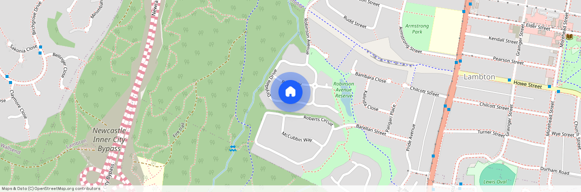 33 Drysdale Drive, NSW 2299, Lambton