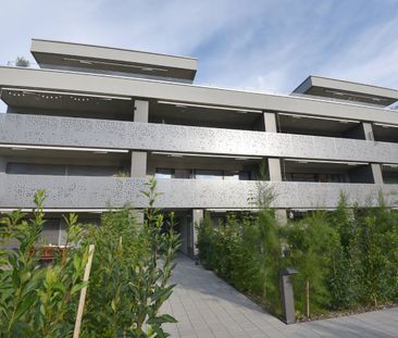 2.5 Zimmer, 55 m², EG - Photo 3