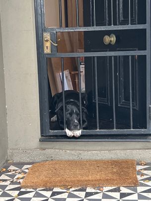 Bondi Junction - Photo 1