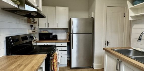 1221 Rue Rachel Est, Montreal, QC, Canada 1221 Rachel East - Photo 2