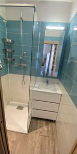 Location Appartement 1 pièce 15m² BORDEAUX 33800 - Photo 4