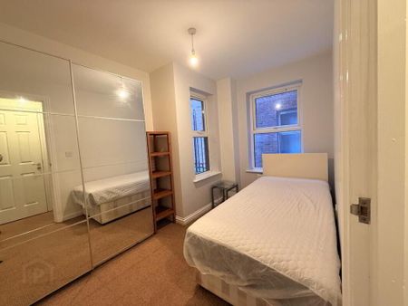 17 Ashley Courtyard, Belfast, BT9 7JS - Photo 4