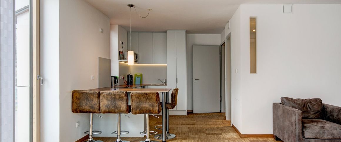 Modern and generous apartment for rent - Foto 1