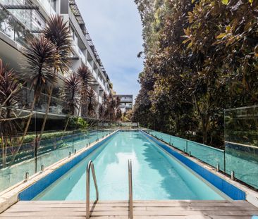 302/84-108 Anzac Parade, Kensington NSW 2033 - Apartment For Rent |... - Photo 3