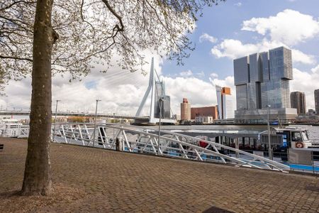 Te huur: Appartement Van Vollenhovenstraat 3 234 in Rotterdam - Foto 5