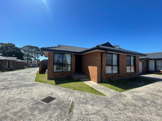 Fully Renovated 2-Bedroom Unit - Photo 1