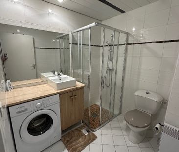 Location Appartement 1 pièce 20m² BOIS LE ROI 77590 - Photo 3