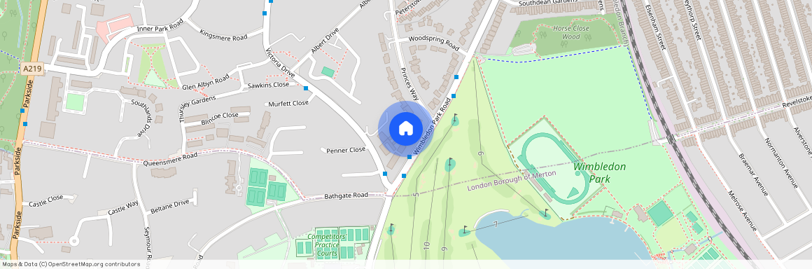 Wimbledon Park Road, London, SW19 6PW