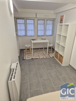 Location Appartement 1 pièce 16m² - Photo 1