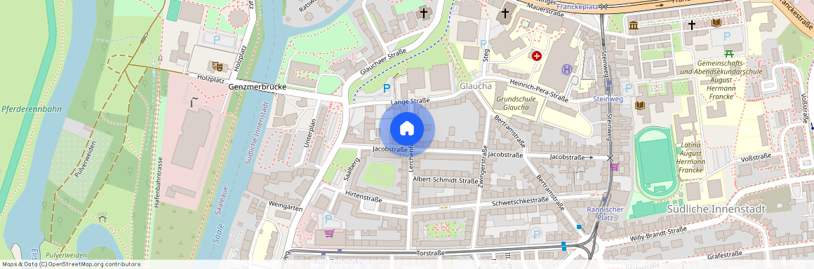 Lerchenfeldstraße 20 (Südliche Innenstadt), 06110 Halle