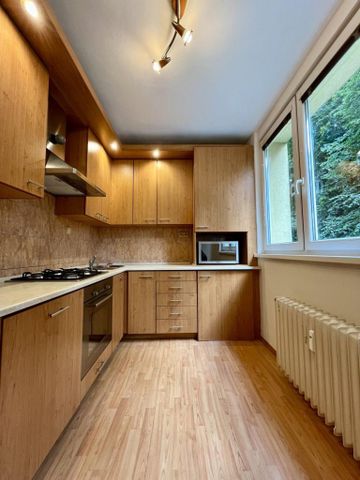 Pronájem bytu 2+1 54 m2 - Fotografie 3