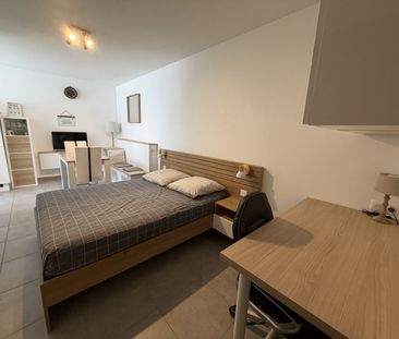 Location Appartement 1 pièce 24m² ST PAUL DE VARAX 01240 - Photo 1