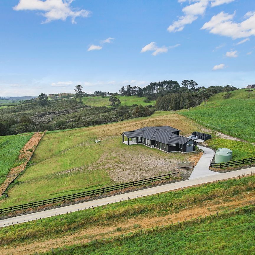 Brand New Lifestyle Home in Helensville - Photo 1