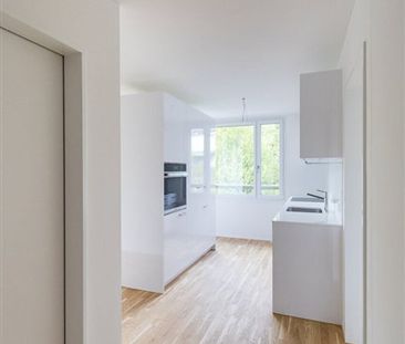 2.5 Zimmer, EG - Photo 2