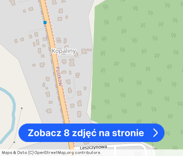 Do wynajęcia mieszkanie 3 pokojowe ( ok. 100m2 ) Pustków / Brzeźnica - Zdjęcie 1