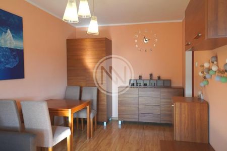 NA WYNAJEM 2 POKOJE WŁOCŁAWEK PRUSA - Photo 2