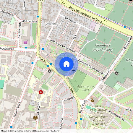 Doktora Gustawa Dolińskiego, Centrum