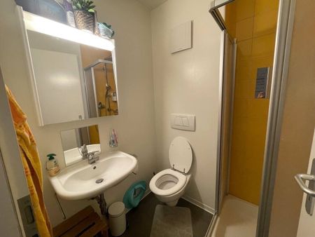 3½-ROOM APARTMENT IN CULLY (VD), FURNISHED, TEMPORARY RENTAL - Photo 2