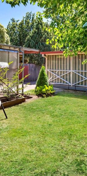 49 Lewin Street, Lyneham ACT 2602 - House For Rent | Domain - Photo 1