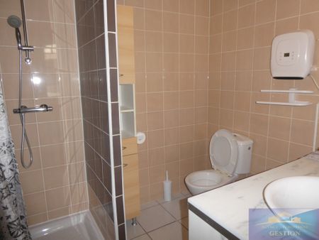Location Appartement 1 pièce 49m² LOURDES 65100 - Photo 5