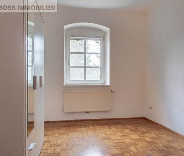 Fred Feuerstein - Photo 2