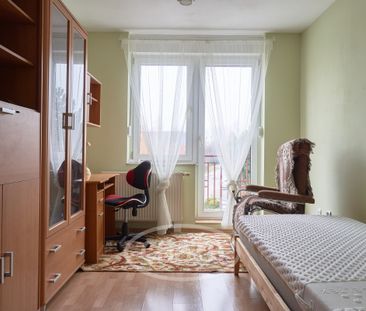 Szereg w Bielanach Wrocławskich - Zdjęcie 6