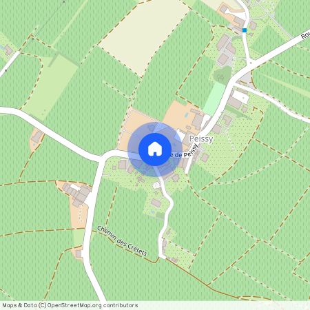 1242, Satigny, Route De Peissy, 79