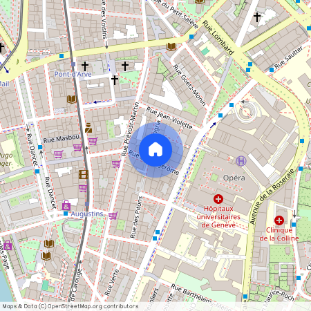 1205, Jonction-Plainpalais-Arve Rive