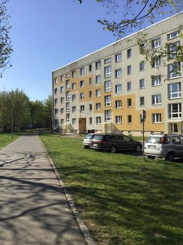 Gemütliche und frisch renovierte 1-Raumwohnung sucht neue Mieter*innen! - Foto 4