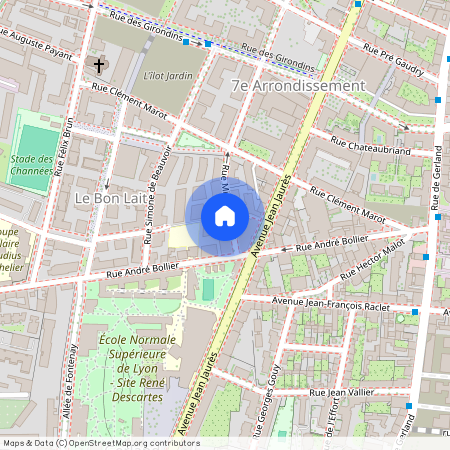 44 Rue Michel Felizat, 69007 Lyon