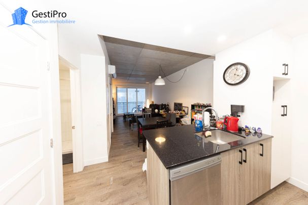 175 St-Vallier Est – Le Gecko - Photo 1