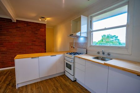 3/1 Ligouri Court, Mayfield NSW 2304 - Apartment For Rent | Domain - Photo 3