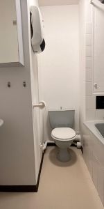 Location Appartement 1 pièce 29m² LAVAL 53000 - Photo 3