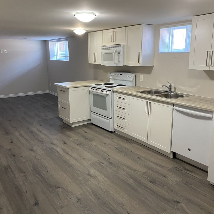 For Lease - 253 Alsace Road Unit# Bsmt#1, Richmond Hill, Ontario - Photo 1