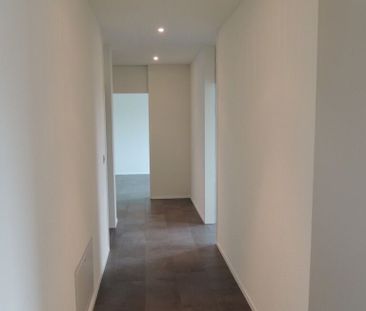 Paar oder Singlewohnung mit grossem Sitzplatz - Foto 6