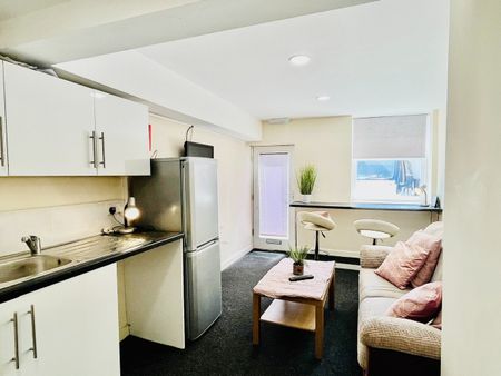 2 Bed Flat, Glossop Road, S10 - Photo 5
