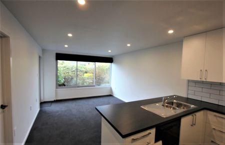 8/19 Sheen Street, Roslyn, Dunedin City - Photo 3