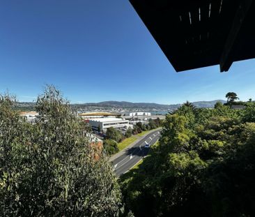 Belmont Lane - one of the best kept secrets! - Photo 3