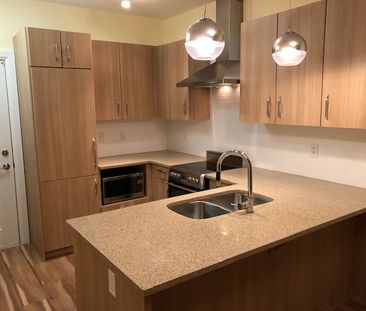 THE RADIUS - 309 - Rad309 - Photo 3