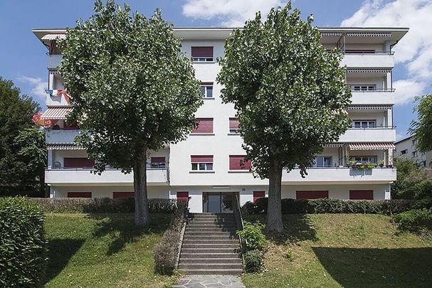 Bel appartement de 2 pièces à Lausanne avec vue sur lac - Foto 1
