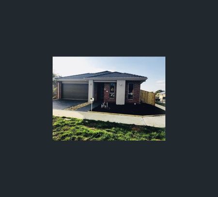 7 Glenferrie Avenue, Mickleham, Vic 3064 - Photo 2
